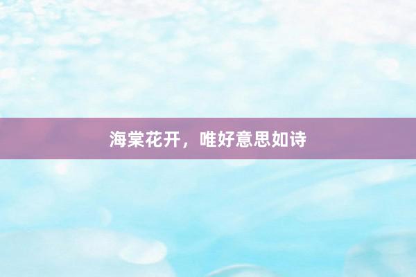 海棠花开,唯好意思如诗